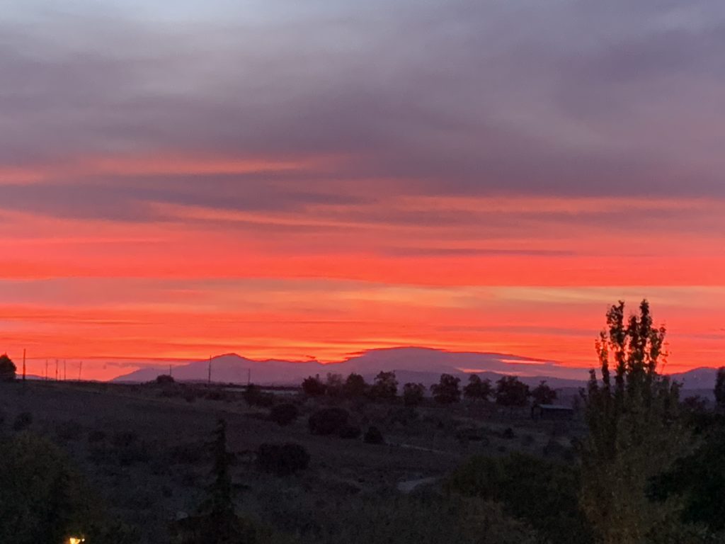 Amway con el medio ambiente. Porque cuidar la naturaleza es lo primero
