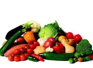 Nikken- nutrición - más - saludable- y - sana